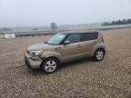 KIA SOUL 2015