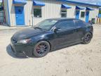 SCION TC 2013