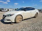 NISSAN MAXIMA 2016