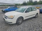CHEVROLET MALIBU 2005