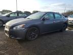 NISSAN MAXIMA 2010