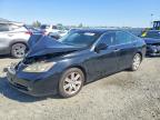 LEXUS ES 2007