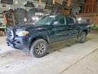 TOYOTA TACOMA 2019