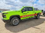 CHEVROLET SILVERADO 2024