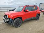 JEEP RENEGADE 2019