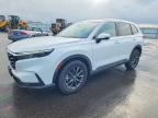 HONDA CR-V 2026