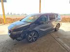 HONDA ODYSSEY 2024