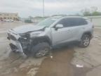 TOYOTA RAV4 2024