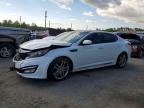 KIA OPTIMA 2013