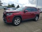 TOYOTA RAV4 HYBRID 2019