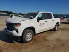 CHEVROLET SILVERADO 2025