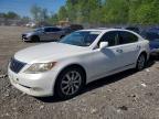 LEXUS LS 2007