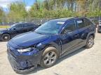 TOYOTA RAV4 2024