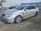 LEXUS ES 2008