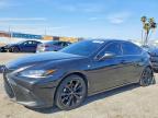 LEXUS ES 2024