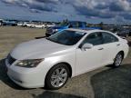 LEXUS ES 2009