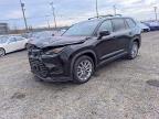 TOYOTA GRAND HIGHLANDER 2024