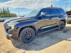 TOYOTA SEQUOIA 2024