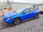 SUBARU WRX 2024