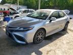 TOYOTA CAMRY 2022