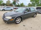 NISSAN MAXIMA 2000