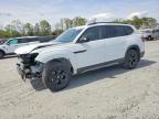 VOLKSWAGEN ATLAS 2024