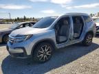 HONDA PILOT 2021