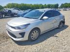 KIA RIO 2023