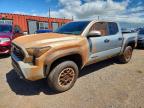 TOYOTA TACOMA 2024