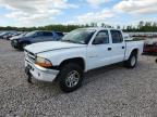 DODGE DAKOTA 2001