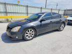 NISSAN MAXIMA 2005