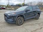 TOYOTA RAV4 2024