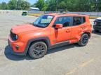 JEEP RENEGADE 2020