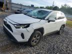 TOYOTA RAV4 2024