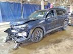 HONDA CR-V 2025
