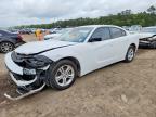 DODGE CHARGER 2023