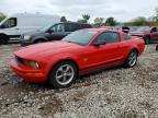 FORD MUSTANG 2009