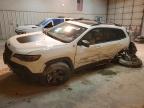 JEEP CHEROKEE 2019