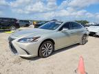 LEXUS ES 2019