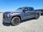 TOYOTA TUNDRA 2024