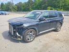 HYUNDAI PALISADE 2024