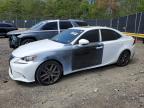 LEXUS IS 2016