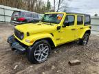 JEEP WRANGLER 2024