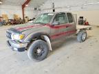 TOYOTA TACOMA 2001