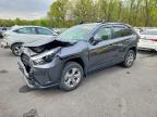 TOYOTA RAV4 2024