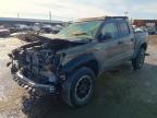 TOYOTA TACOMA 2025