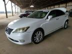 LEXUS ES 2011