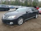 LEXUS ES 2010