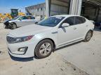 KIA OPTIMA 2016