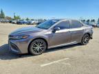 TOYOTA CAMRY 2023